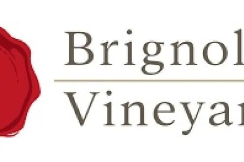 Comedy Night at Brignole Vineyards